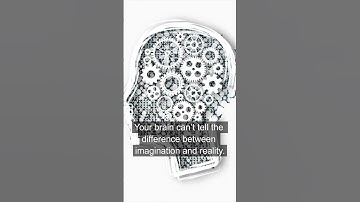 Create your ideal life #healthyhabits  #personaldevelopment  #imagination