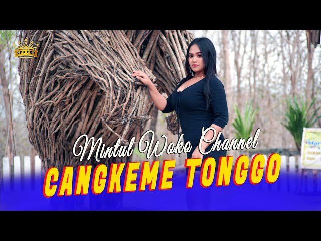 Mintul Riska Oktavia - Cangkeme Tonggo ( Official Video Music ) class=