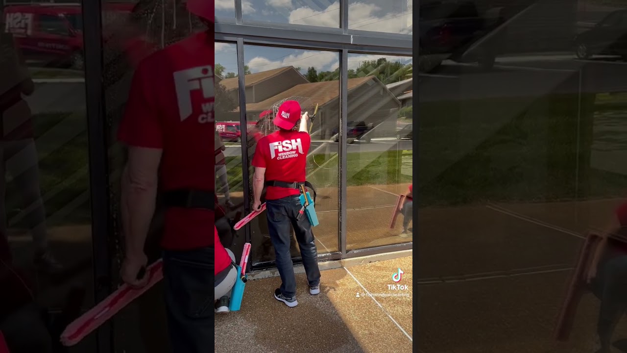 Training School at Fish Window Cleaning