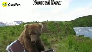 20201224 Video 15 217517737557