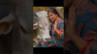 Bhola to mujhe samajhta hai 🙏☺️#puppies #streetdog ##shortvideos #bhola