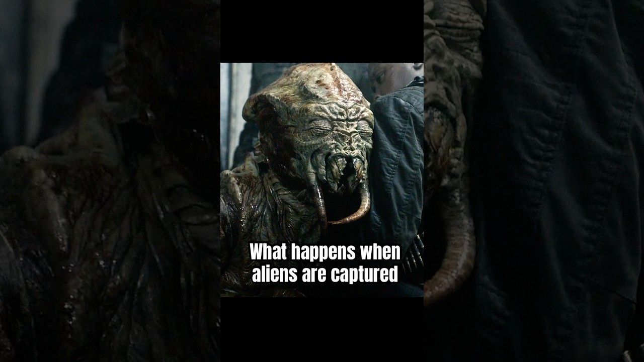 What happens when aliens are captured 