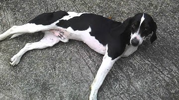 720p video1 @ ov5640 (snesor isp) + rts5821z + gs8657