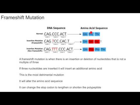 Frameshift Mutation