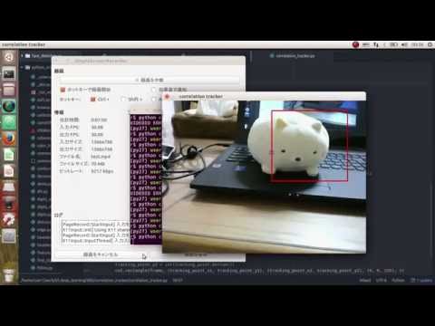 【Ubuntu】【Python】dlibを用いた物体追跡