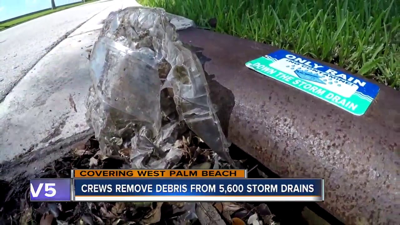 vero beach weather WPTV Latest Headlines | August 8, 12pm