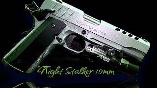 Tisas NightStalker 10mm: Does low-cost mean low quality?!!