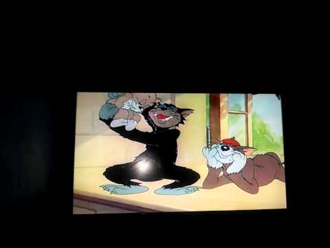 Tom and Jerry Fandubs (Baby Puss)