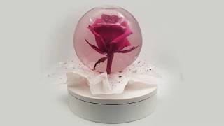 GLOBE ROSE