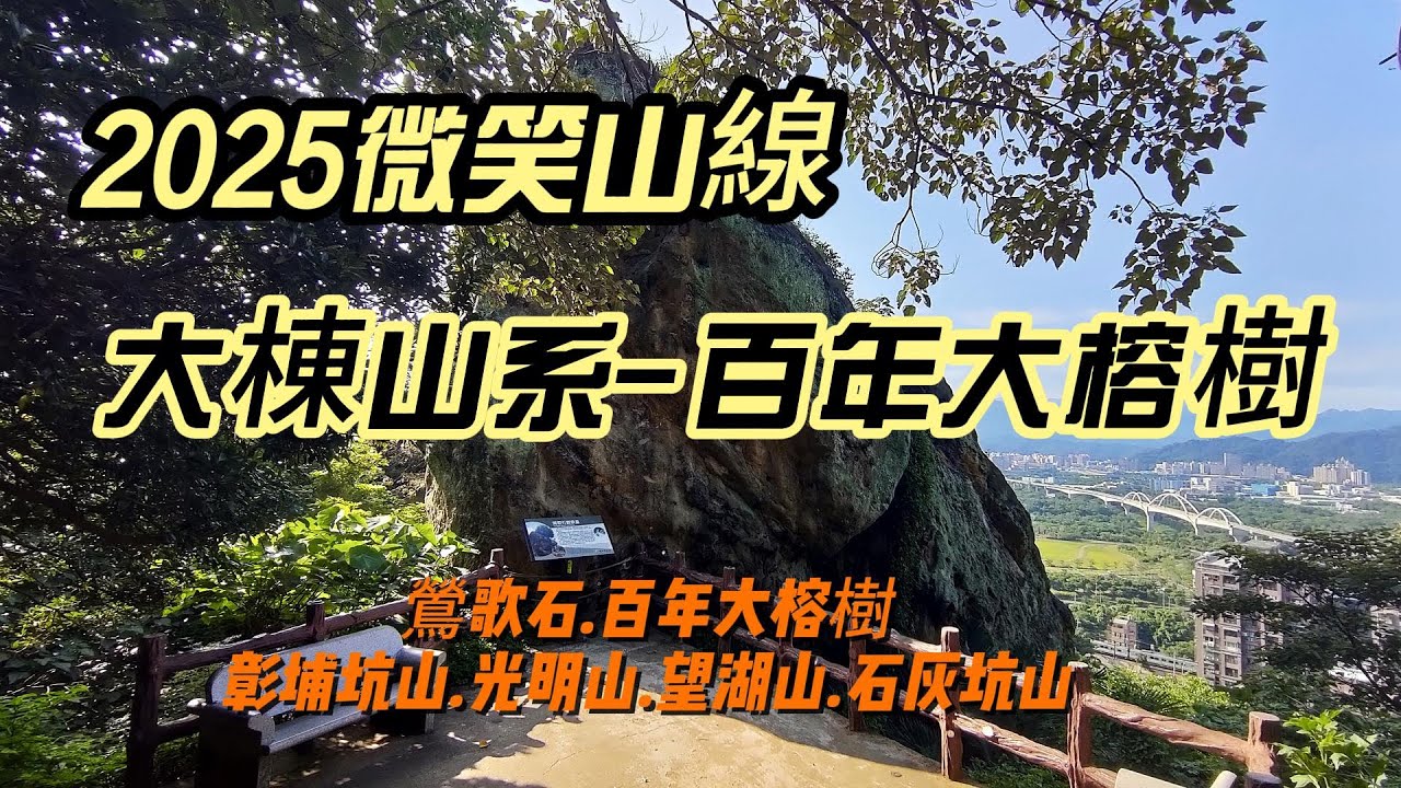 [新北]2025微笑山線~大棟山系-百年大榕樹段 | 鶯歌-山佳