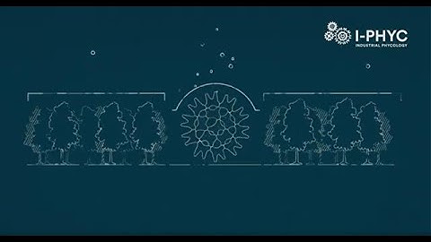 Why Algae is a natural solution for wastewater treatment