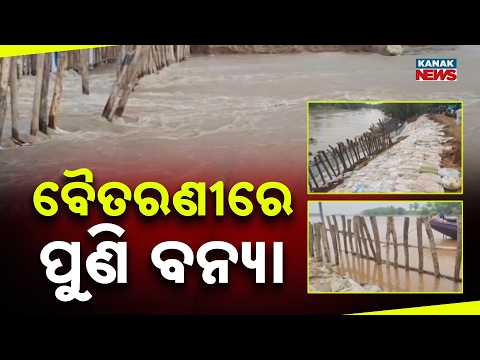 ବୈତରଣୀରେ ପୁଣି ବନ୍ୟା Baitarani Flood Alert | Jajpur-Bhadrak Border Faces River Embankment Damage
