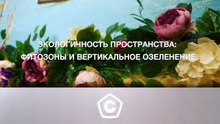 Сделано в Севастополе. Фитозоны и вертикальное озеленение: пространство в стиле эко