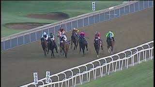 20181221 Greyville express clip Race 3 won by UNBELIEVABLE LAD