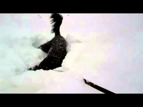 SOLAR DOME: Xander shenanigans!