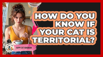 How Do You Know If Your Cat Is Territorial? - Happy Cat Handbook