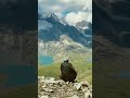 Lekh Jammu Kashmir