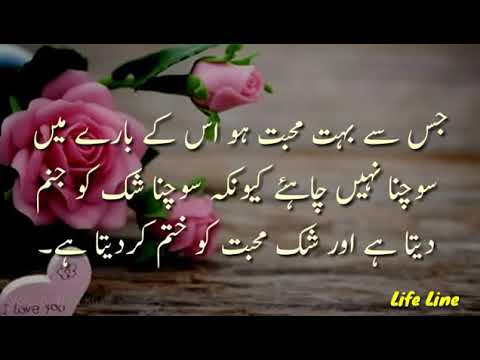 Meaning of mohabbat_ محبت کا مطلب