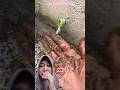 permen lolipop‼️BlixShorts-yt #dubbing #funny #shorts