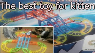 The best toy for kitten by CL CAT LOVER 1,959 views 1 year ago 3 minutes, 17 seconds