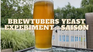 Grain to Glass - Brewtubers Yeast Experiment 2021 - Saison