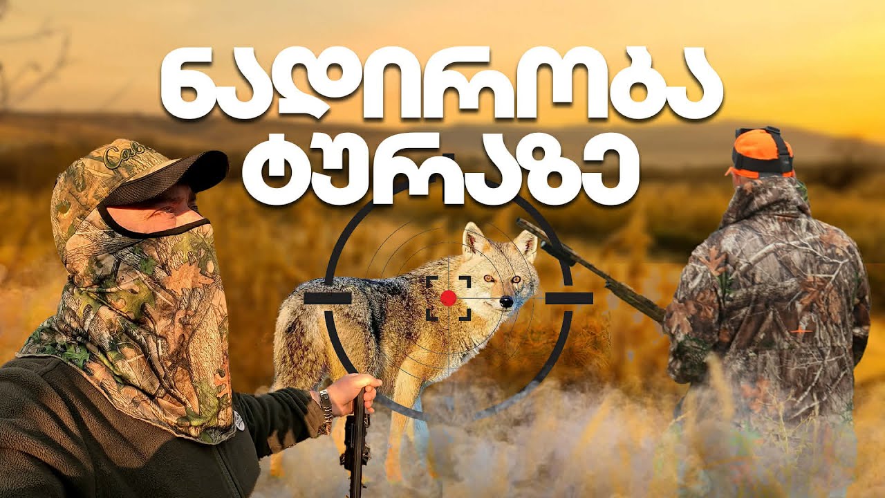 ტურაზე ნადირობა მცხეთის რაიონში