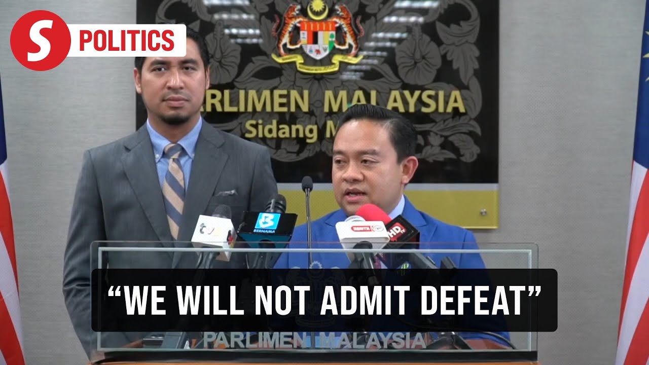 We will continue Bersatu's struggle, say Wan Saiful and Wan Ahmad Fayhsal