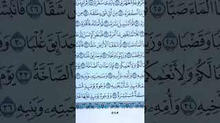 😭What A DAY To Remember Surah Abasa Ayat34-37 #allahuakbar #dayofjudgment #qiyamah #quranrecitation