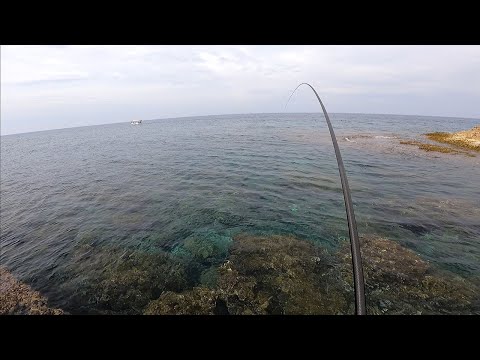 SEZON AÇILIŞI SOKAN SARPA IZGARO AVI SIGANUS RIVULATUS κουρκούνες BOOPS SALPA ISKAROZ FISHING CYPRUS