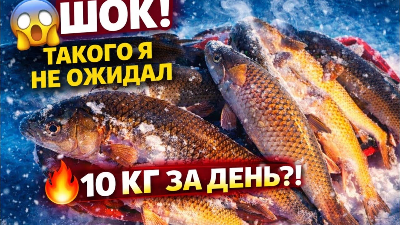 Огромные рыбы все хапуги порвали, одна сломалась. ##рыбалка #낚시 #fishing #кино 