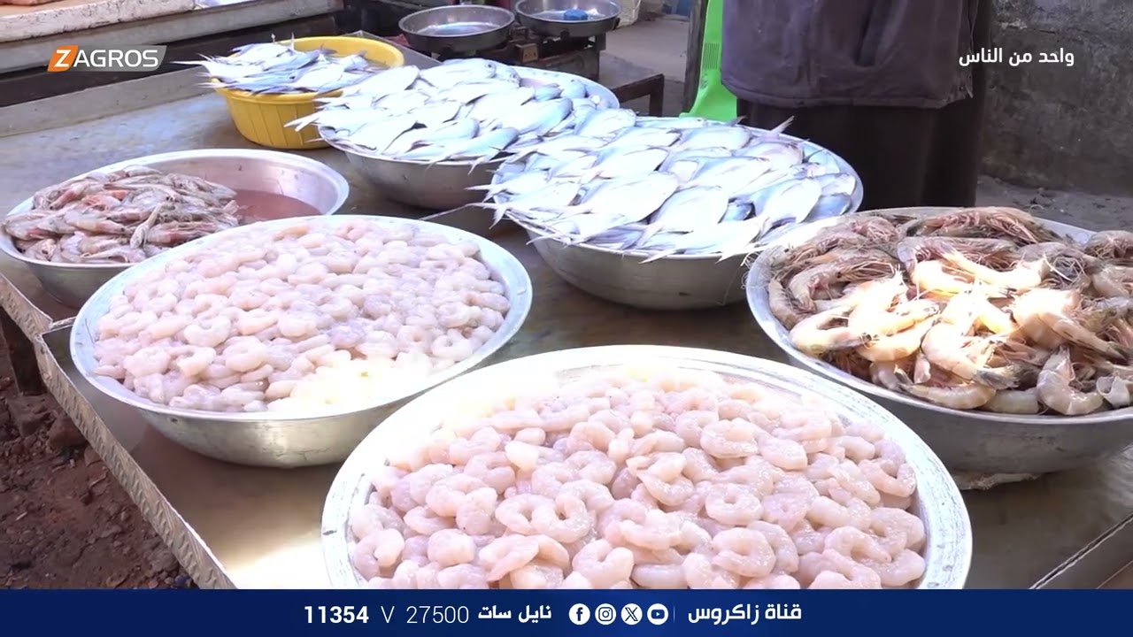 سوق البصرة القديم لـبيع الاسماك - البصرة | برنامج واحد من الناس مع احمد الركابي