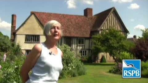 Common Swift numbers declining 