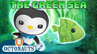 ​@Octonauts  The Green Sea  | 70 Mins+ | Cartoons for Kids | Underwater Sea Education