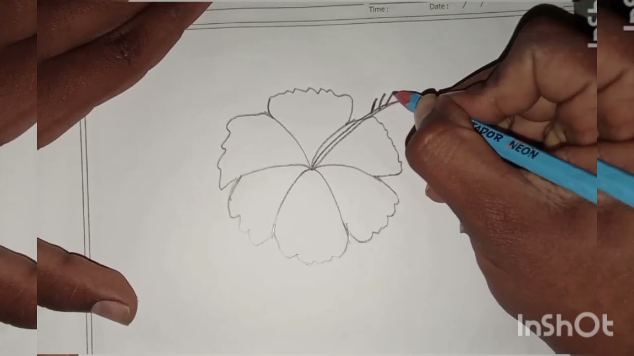 how to drow hibiscus flower. joba ful akar kousol