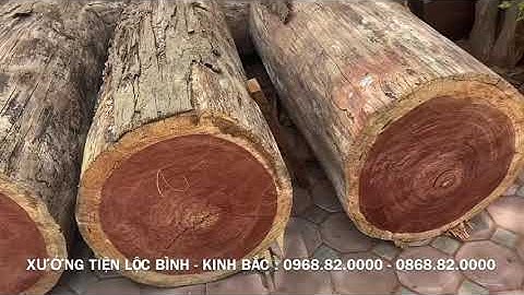 XƯỞNG TIỆN LỘC BÌNH KINH BẮC - LỤC BÌNH phong thuỷ nguyên khối gỗ hương và gỗ cẩm
