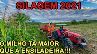 MF 4292 HD,  MF 4292 XTRA, JOHN DEERE 6100 J - SILAGEM 2021 PT3 - NO SERTÃO NORDESTINO.