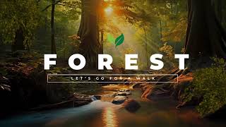 Why The Health Benefits Of Nature Is Trending Hiking On Crown Land Canadas Most Populated Region