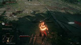 Elden Ring | WTF Marjit, come back screenshot 5