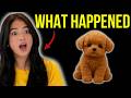 Wuffy Robot Puppy review 2026 - Does it really work? I tried this interactive robot dog