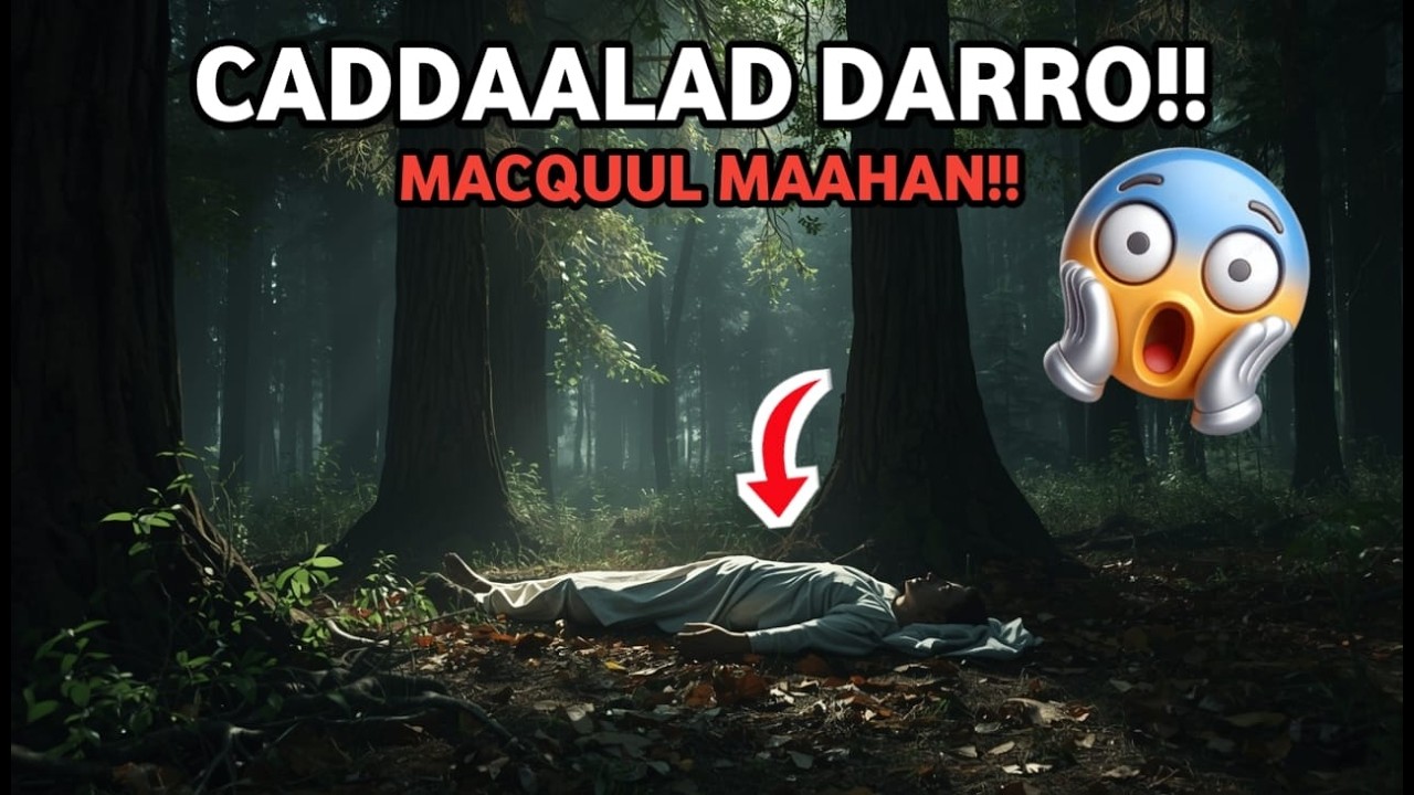 WAXAA DILAY NINKEEDII LAAKIIN SABAB? QISO MURUGO BADAN!!