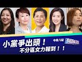 藍綠之外 小黨出頭天 政壇女力 進步撐台灣！（公共電視 - 有話好說）