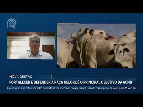 Nova Gestão: Fortalecer e defender a raça nelore é o principal objetivo CNB | Canal Rural