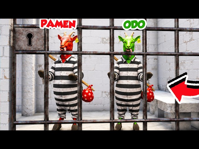 DUO KAMBING KETAUAN MENCURI DAN DI PENJARA DI GOAT SIMULATOR 3