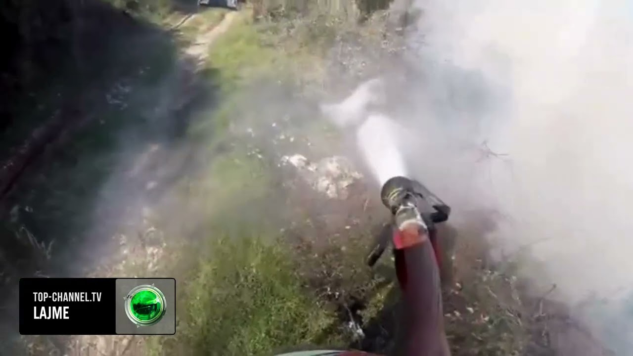 Top Channel/ Zjarri në fshatin Risili të Vlorës djeg disa rrënjë ullinjsh, dyshohet i qëllimshëm