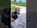 Đám trẻ trâu thả diều 10 mét và cái kết #shortvideo #funny #challenge