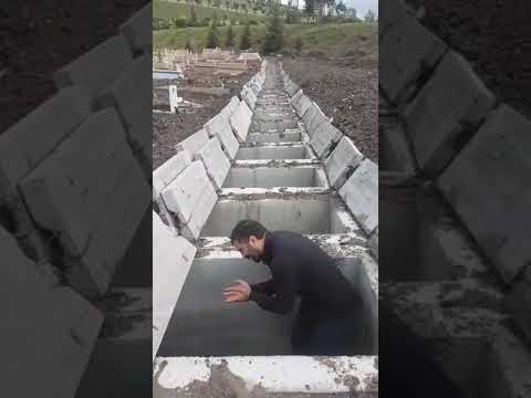 Fuat Pektane Hiç Ölmeyecekmiş Gibi Yaşıyoruz 