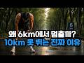 6km에서 항상 멈추는 이유 (10km 러닝 방법)