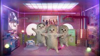 Gittiysen Gelme Geri - Kedi Dans