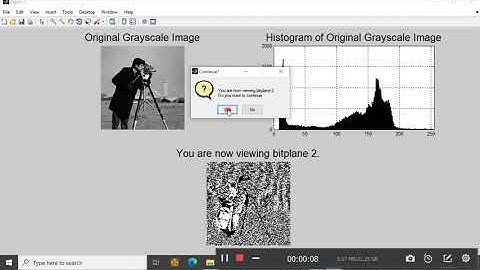 bit plane gray scale image