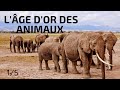 Vivre longtemps lge dor des animaux 15 documentaire animalier